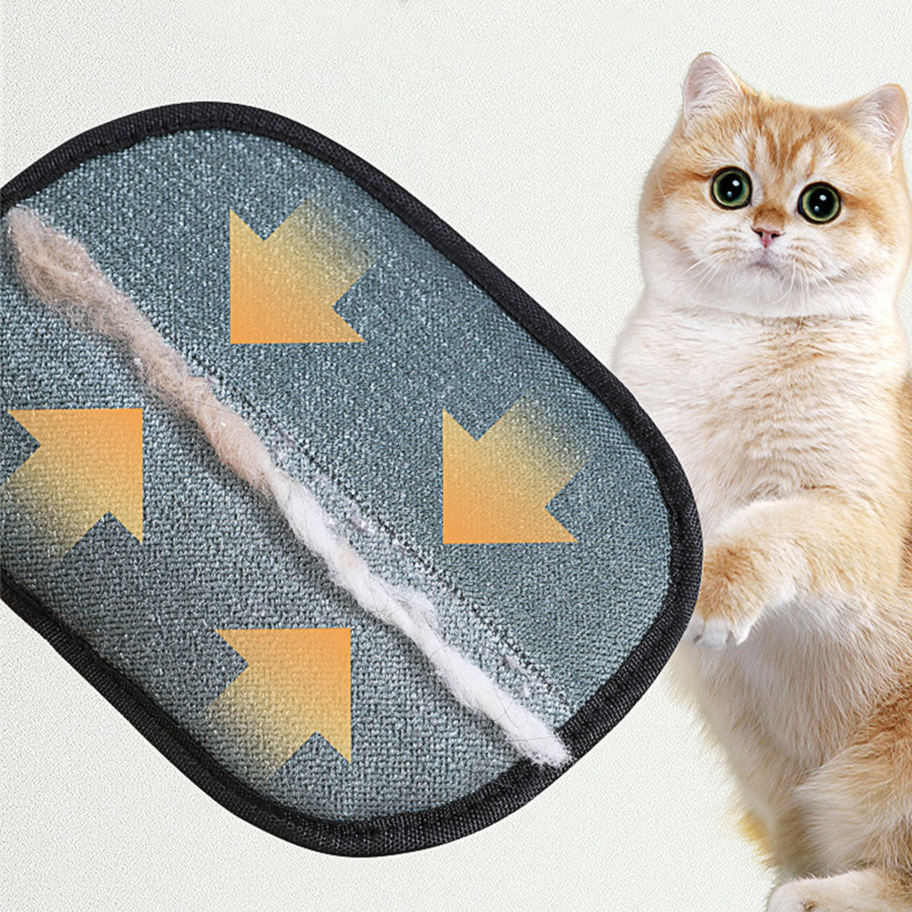 Professional Pet Grooming Glove